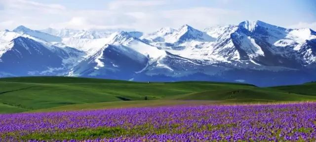 新疆之旅,寻找内心平静的旅程